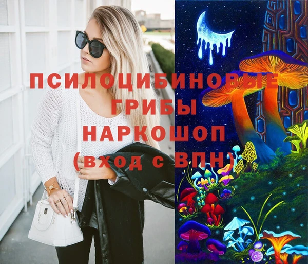 гидропоника Алзамай