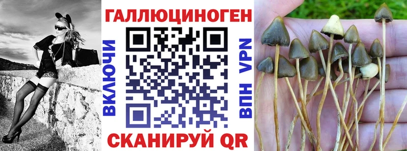 Галлюциногенные грибы MAGIC MUSHROOMS  Перевоз 